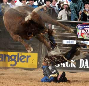 Bronc Riding Wrecks